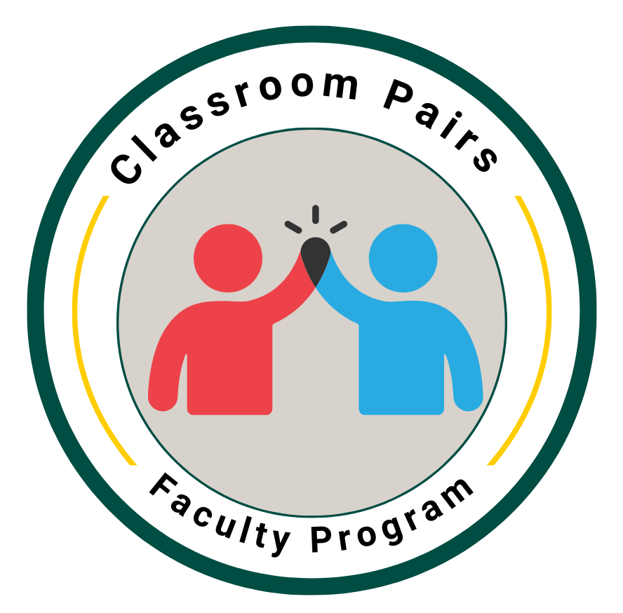 Classroom Pairs Faculty Program