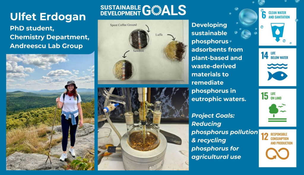 A collage of three images. One features a young woman standing on top of a mountain in hiking gear. The second features three petri dishes. One is labeled "Spent Coffee Grounds" one is labeled "Luffa" and the third is labeled "sawdust." The third picture features an experimental setup with glass tubes and vials. Text reads: "Ulfet Erdogan, PhD student, Chemistry Department, Andreescu Lab Group. Developing sustainable phosphorus adsorbents from plant-based and waste-derived materials to remediate phosphorus in eutrophic waters. Project goals: reducing phosphorus pollution & recycling phosphorus for agricultural use." The United Nations Sustainable Development Goals logo is featured, along with logos for goals six, fourteen, fifteen, and twelve (Clean Water and Sanitation, Life Below Water, Life on Land, and Responsible Consumption and Production.)