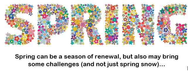 SPRING, in capital letters made of a culmination of multicolored flowers. With text that reads: "Spring can be a season of renewal, but also may bring some challenges (and not just spring snow)..."
