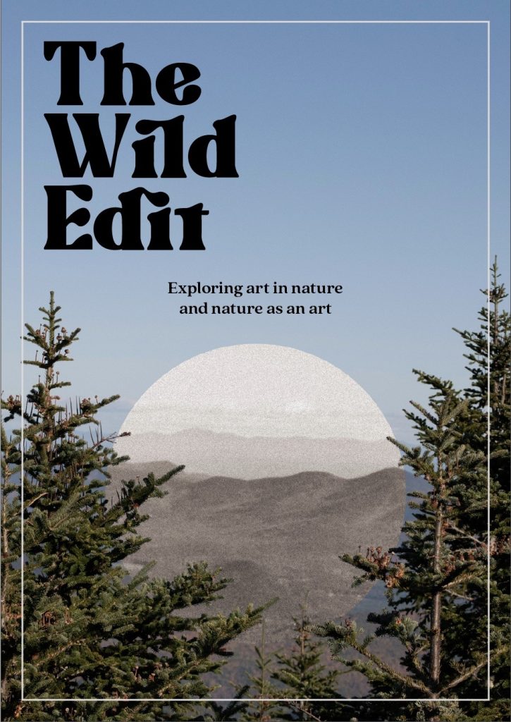 Digital Magazine cover design featuring the magazine title “The Wild Edit” overlayed on top of landscape photography. Created by Communication & Media Senior student, Mallory Czimbal as part of her Adirondack adventure themed magazine.