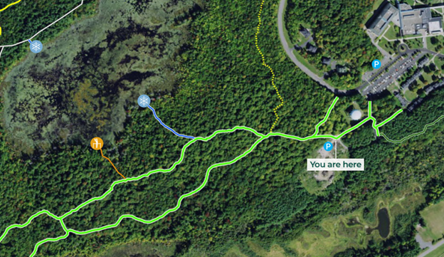 Satellite view of Clarkson University's trail system in The Clarkson Woods
