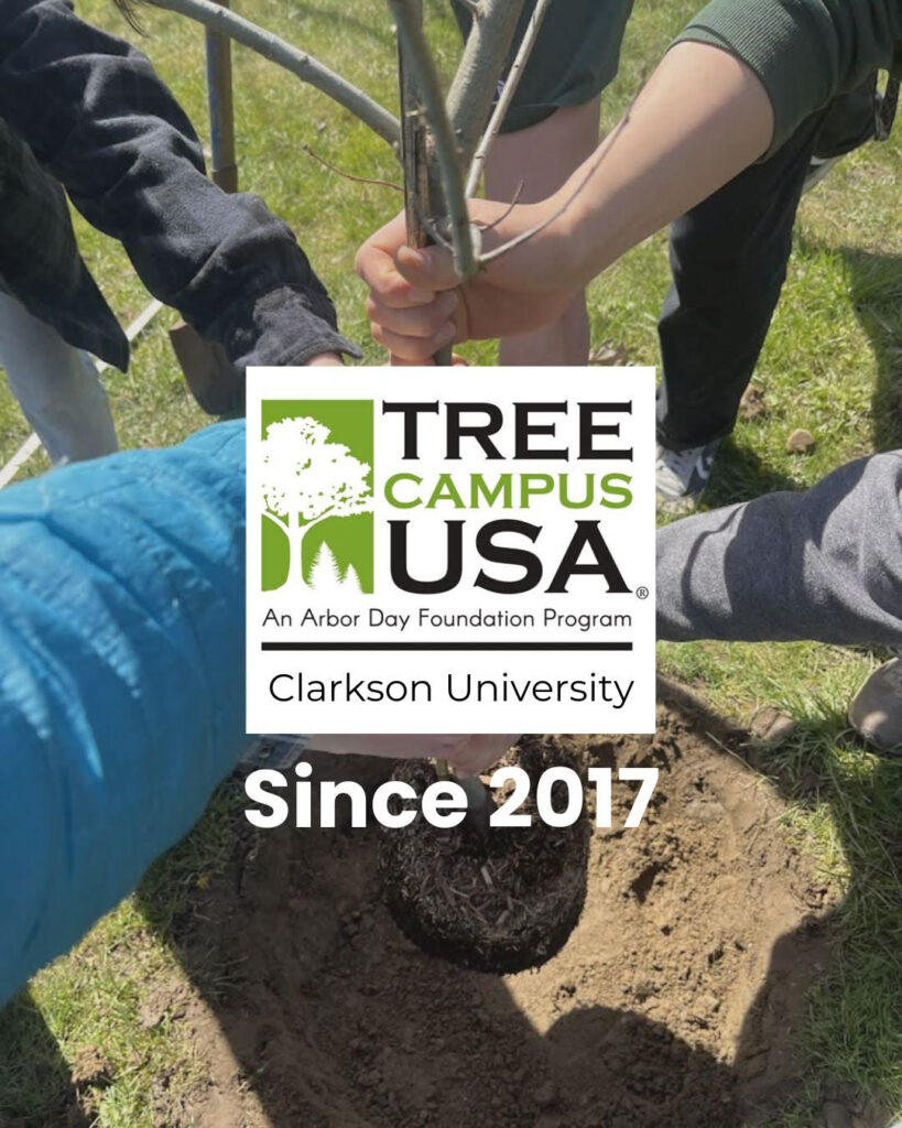 People standing in a circle with hands on a small tree trunk. The Tree Campus USA Arbor Day Foundation logo is featured in the center of the image, with text that reads "Clarkson University Since 2017."