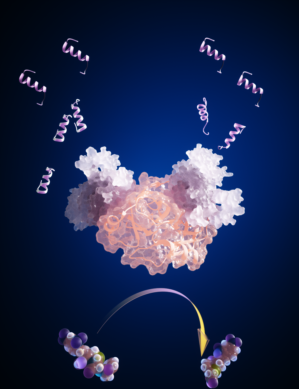 Biomolecular switch operated as a biosensor – artistic vision.