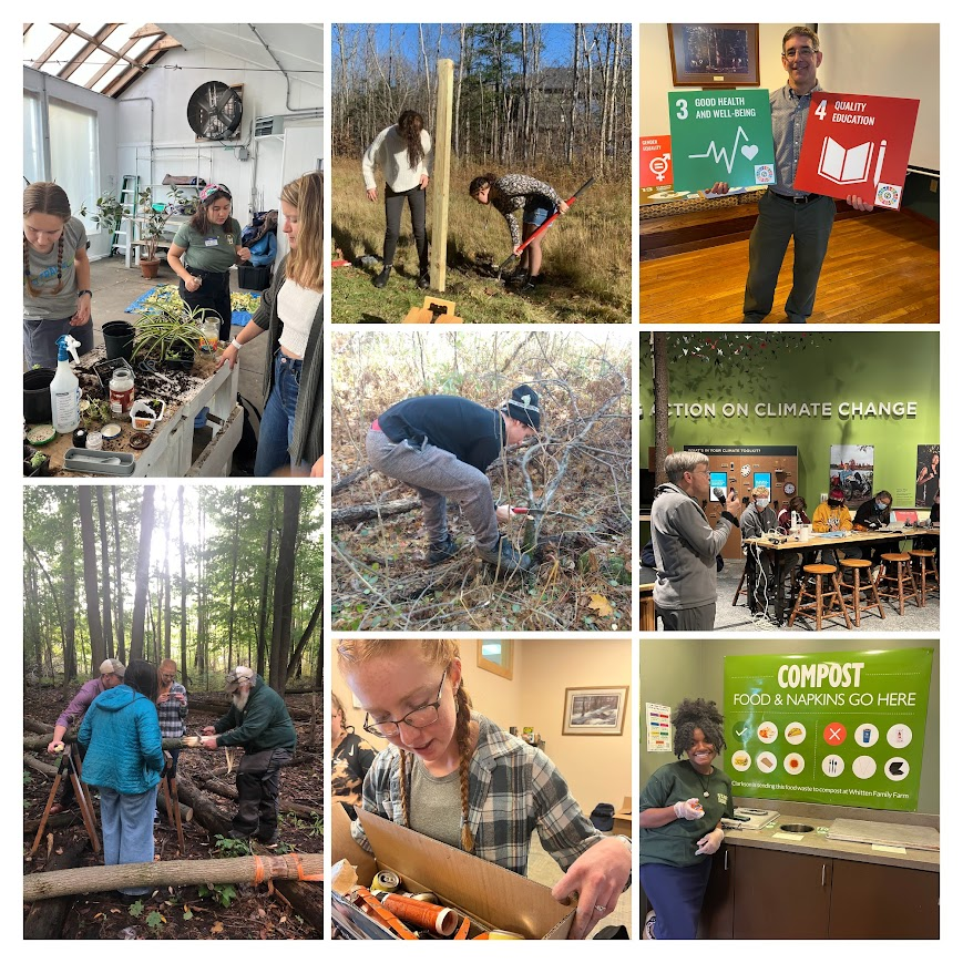 collage of photos of students engaged in sustainability events